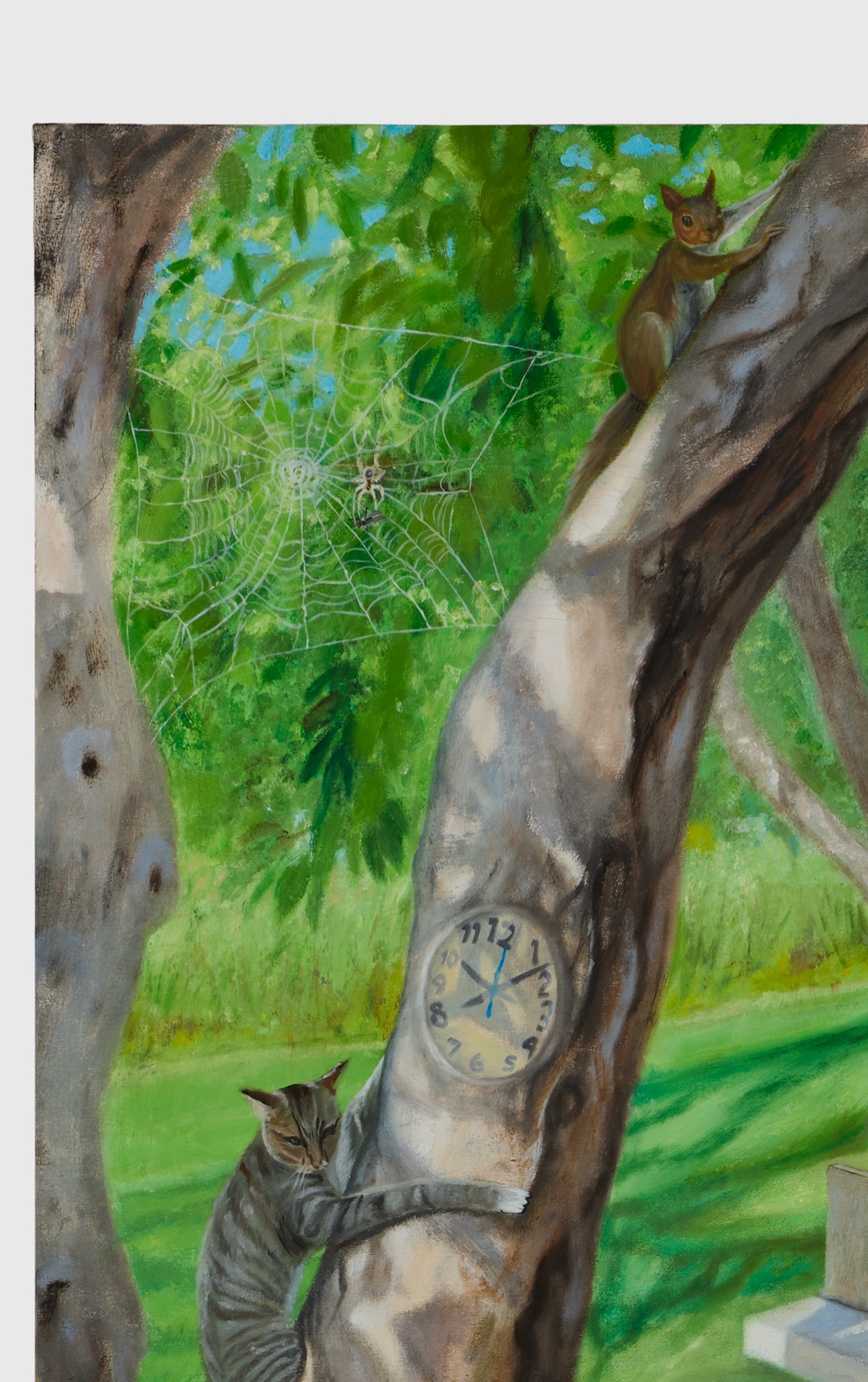 Detail — cat, spider web and clock